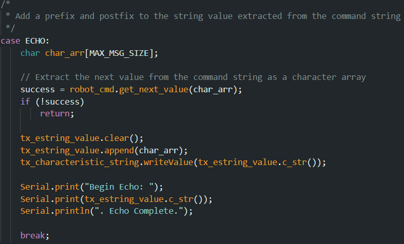 Implementation of Echo Command